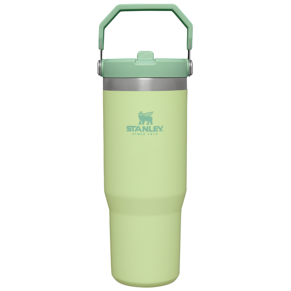 Stanley IceFlow Flip Straw 2.0 Tumbler 30 oz – Insulated Cold Water Bottle with Flip Straw Lid