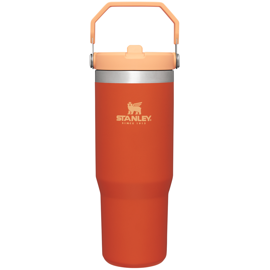 Stanley IceFlow Flip Straw 2.0 Tumbler 30 oz – Insulated Cold Water Bottle with Flip Straw Lid