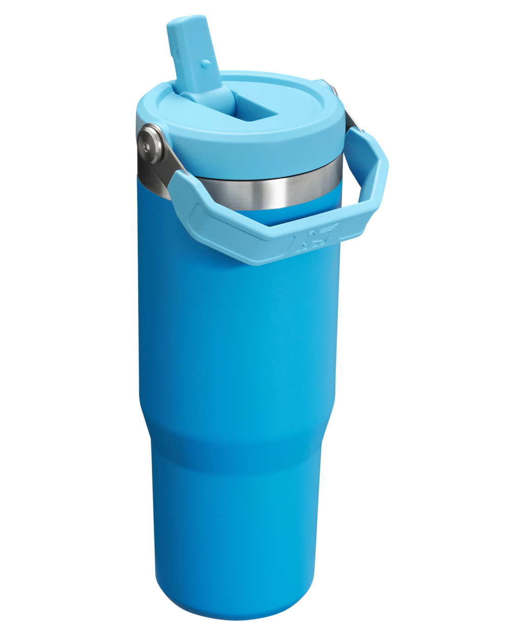 Stanley IceFlow Flip Straw 2.0 Tumbler 30 oz – Insulated Cold Water Bottle with Flip Straw Lid