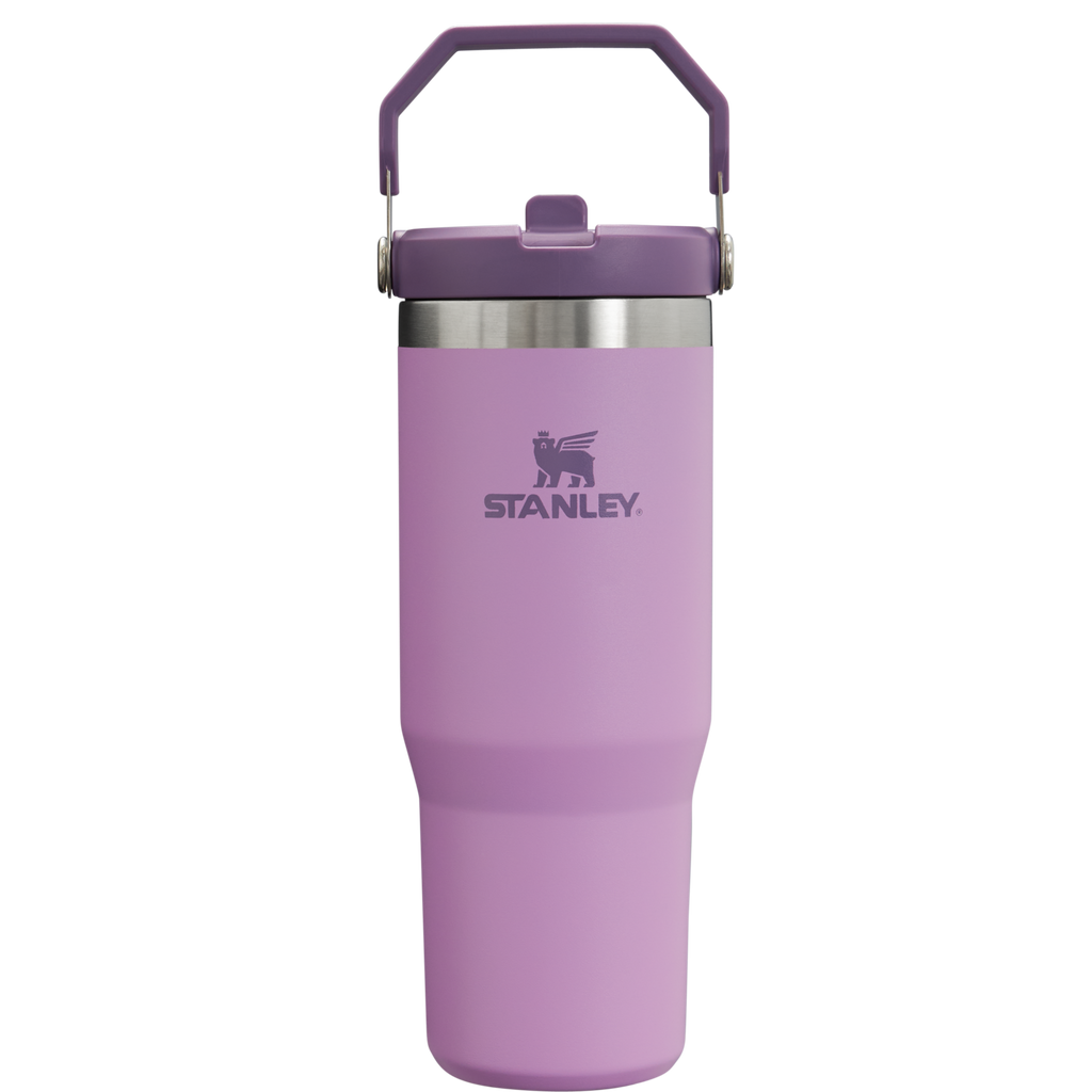 Stanley IceFlow Flip Straw 2.0 Tumbler 30 oz – Insulated Cold Water Bottle with Flip Straw Lid