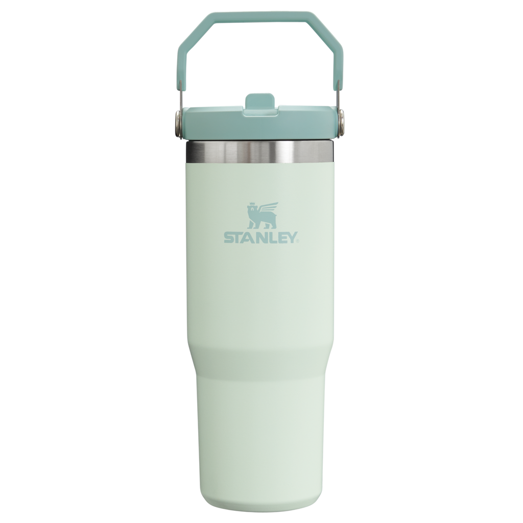 Stanley IceFlow Flip Straw 2.0 Tumbler 30 oz – Insulated Cold Water Bottle with Flip Straw Lid