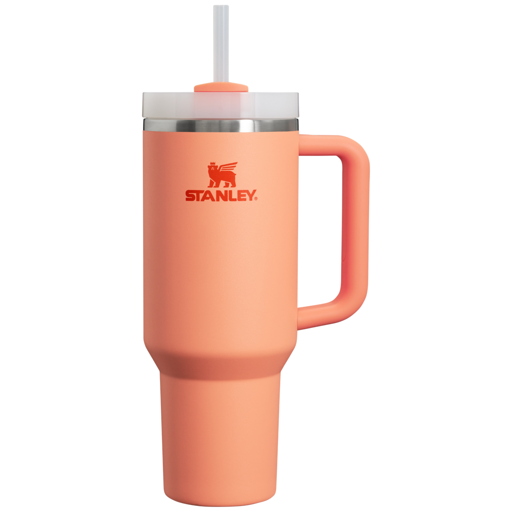 Stanley Quencher H2.0 FlowState Tumbler 40 oz – Large Insulated Tumbler with Straw and Handle for Women