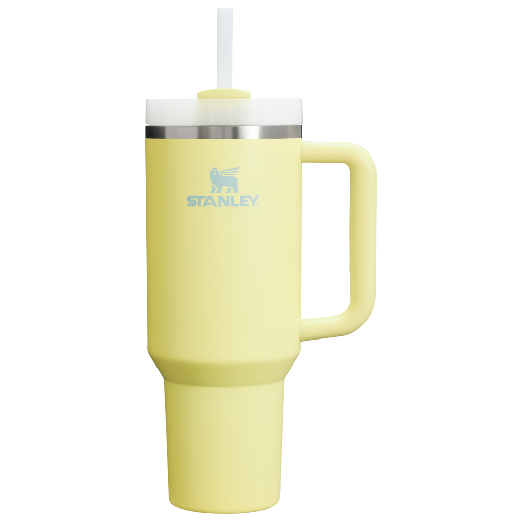 Stanley Quencher H2.0 FlowState Tumbler 40 oz – Large Insulated Tumbler with Straw and Handle for Women