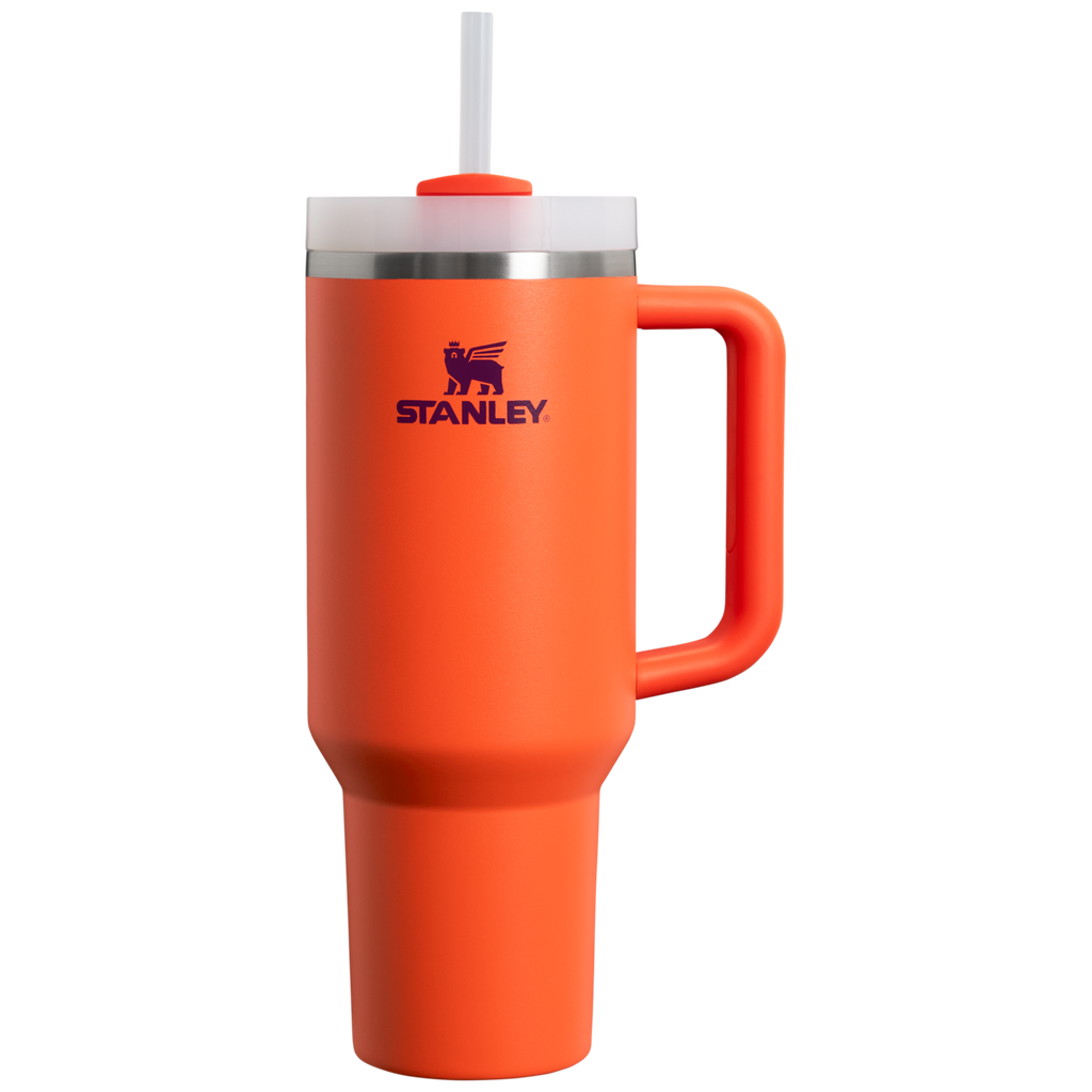 Stanley Quencher H2.0 FlowState Tumbler 40 oz – Large Insulated Tumbler with Straw and Handle for Women