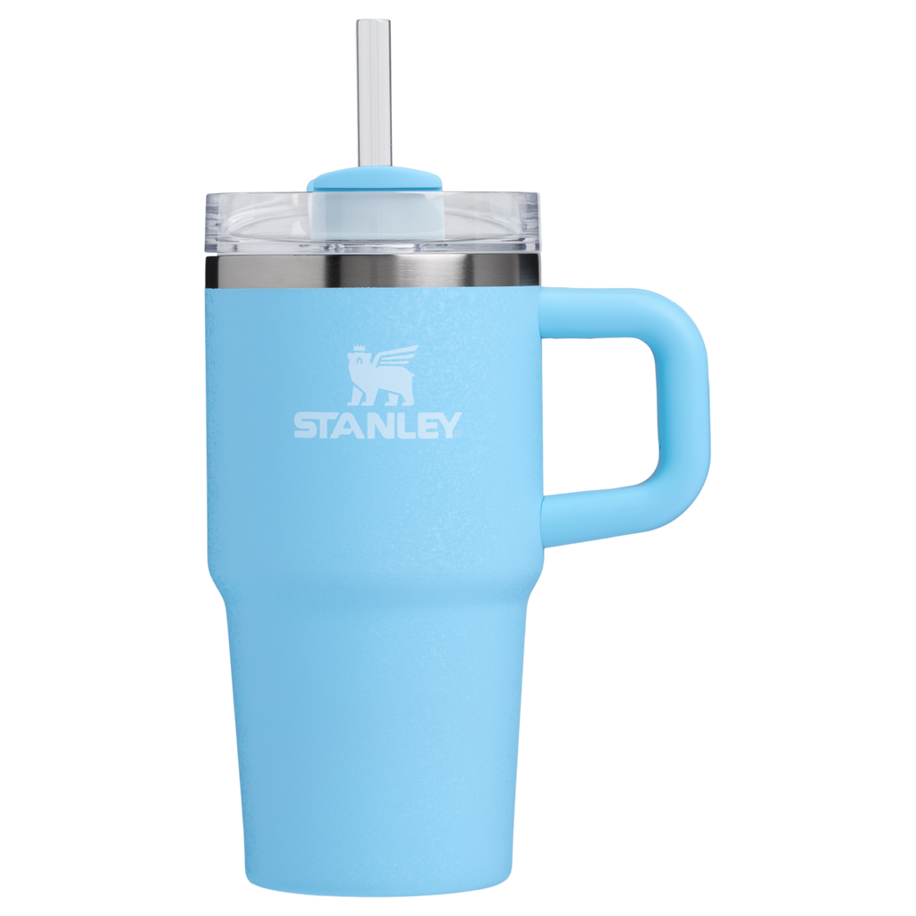 Stanley Quencher H2.0 FlowState Tumbler with Handle 20 oz – Insulated Travel Cup with Straw for Women