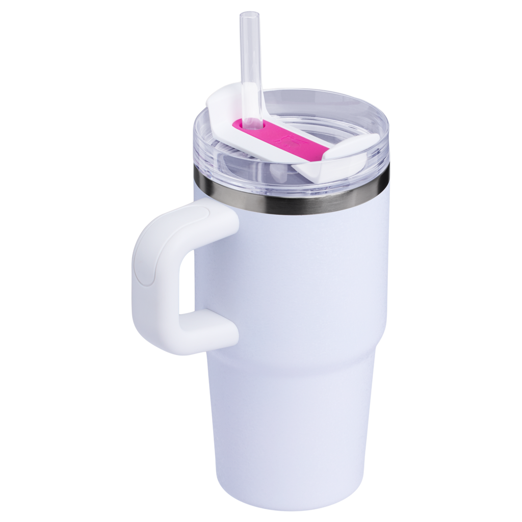 Stanley Quencher H2.0 FlowState Tumbler with Handle 20 oz – Insulated Travel Cup with Straw for Women