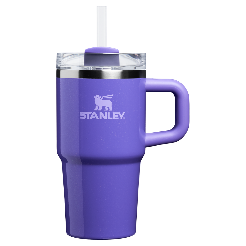 Stanley Quencher H2.0 FlowState Tumbler with Handle 20 oz – Insulated Travel Cup with Straw for Women