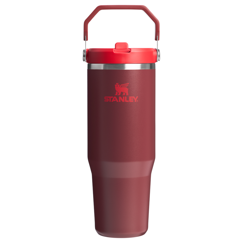 Stanley IceFlow Flip Straw 2.0 Tumbler 30 oz – Insulated Cold Water Bottle with Flip Straw Lid