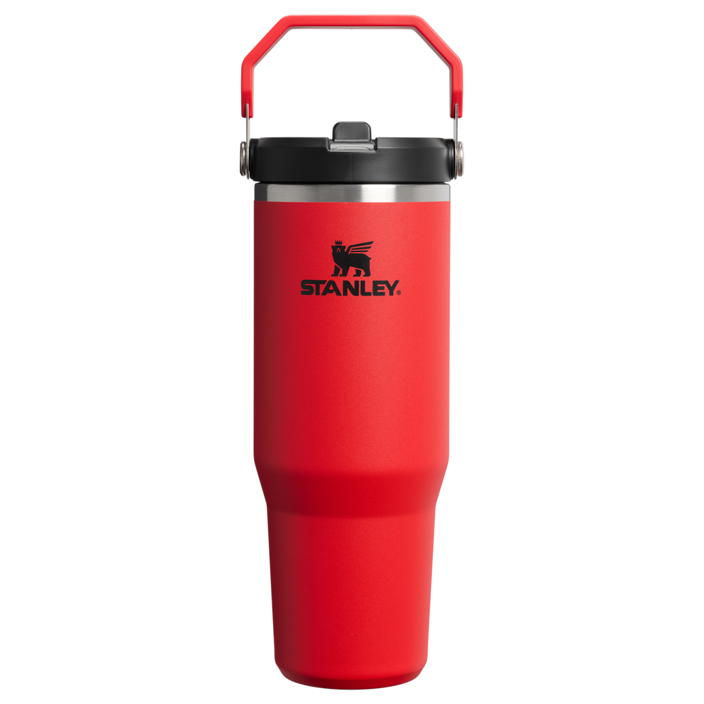 Stanley IceFlow Flip Straw 2.0 Tumbler 30 oz – Insulated Cold Water Bottle with Flip Straw Lid