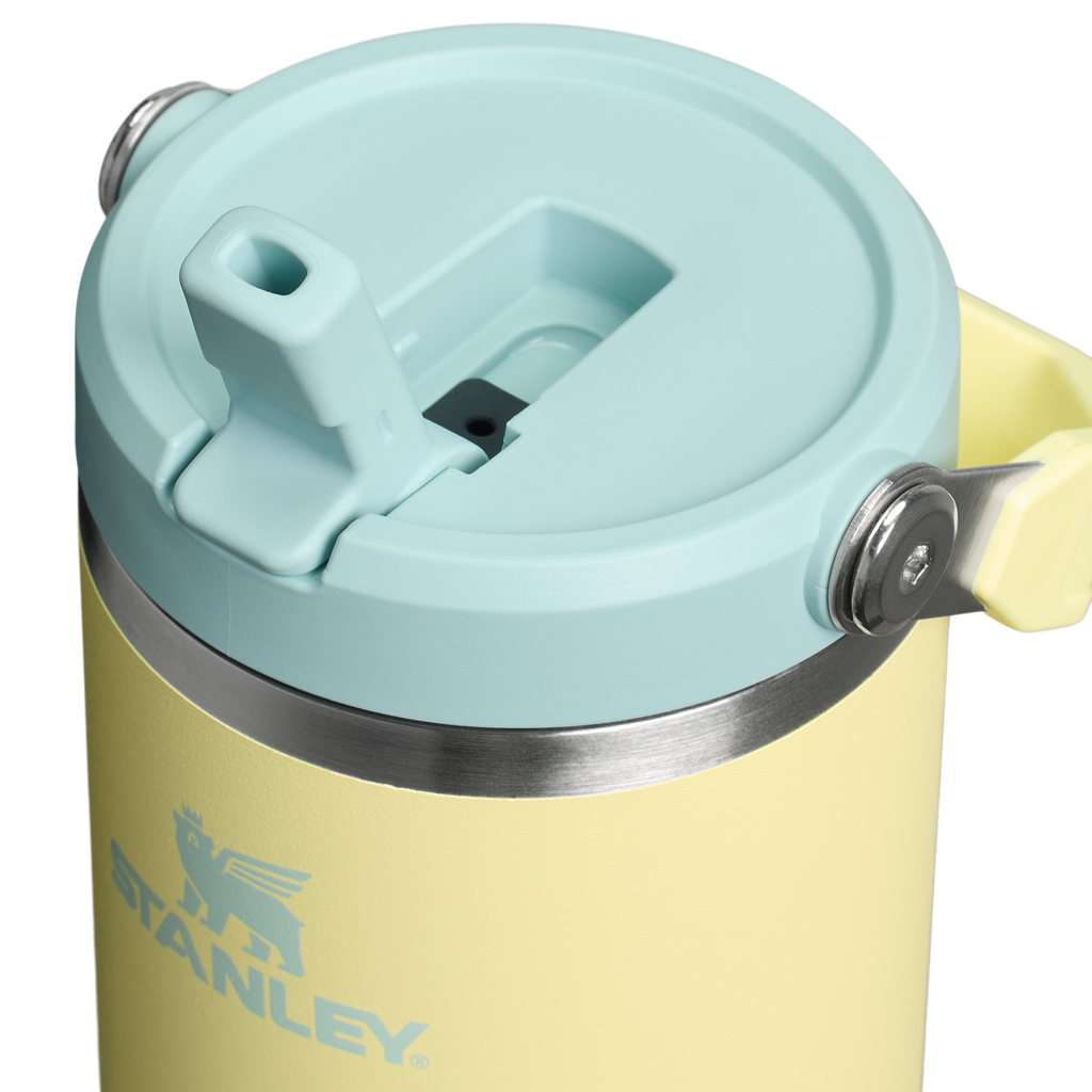 Stanley IceFlow Flip Straw 2.0 Tumbler 30 oz – Insulated Cold Water Bottle with Flip Straw Lid
