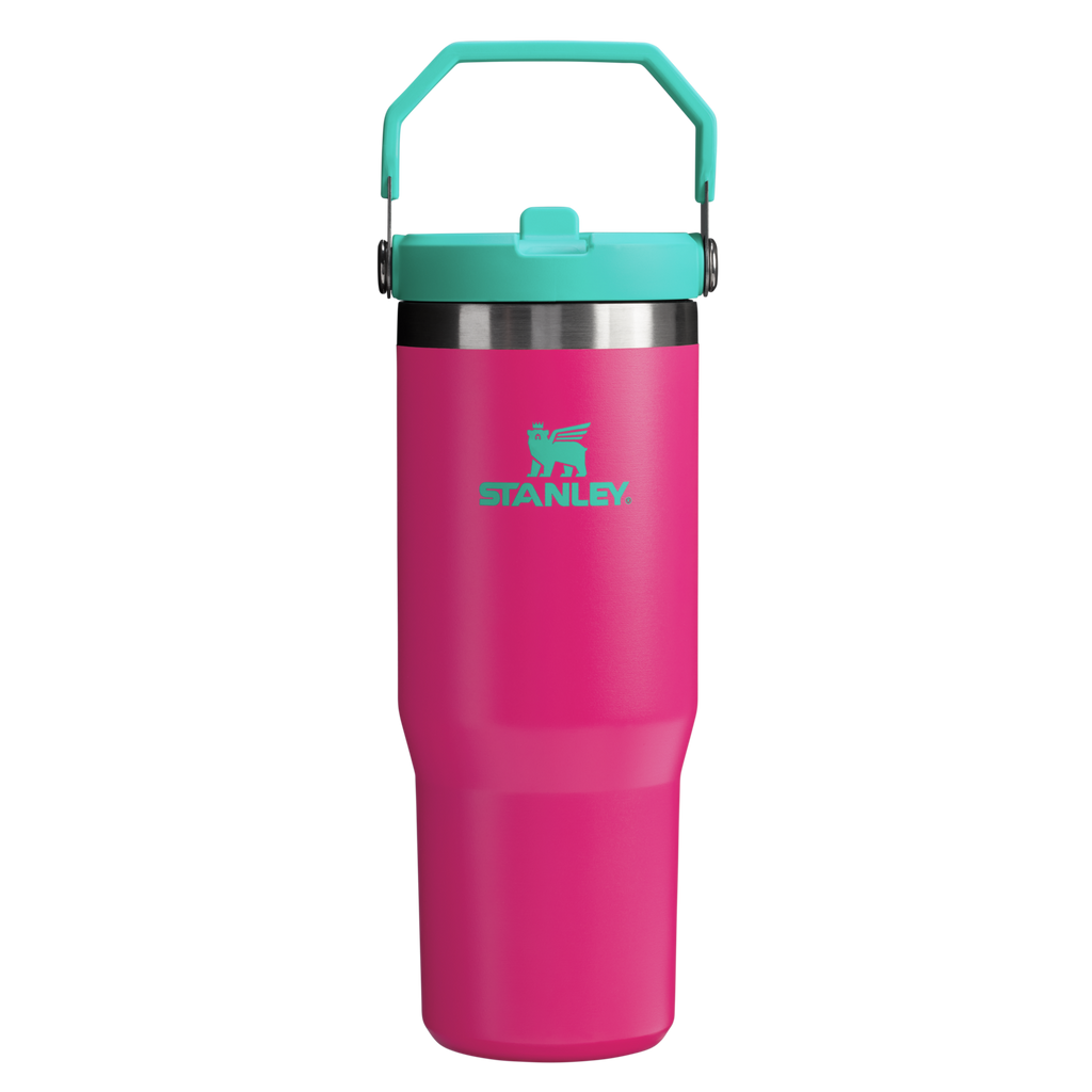 Stanley IceFlow Flip Straw 2.0 Tumbler 30 oz – Insulated Cold Water Bottle with Flip Straw Lid