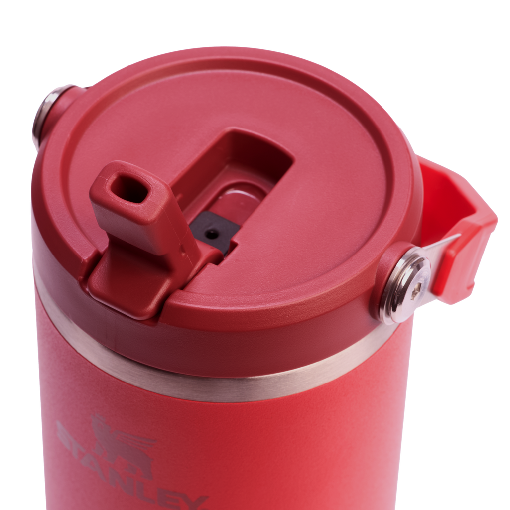 Stanley IceFlow Flip Straw 2.0 Tumbler 30 oz – Insulated Cold Water Bottle with Flip Straw Lid