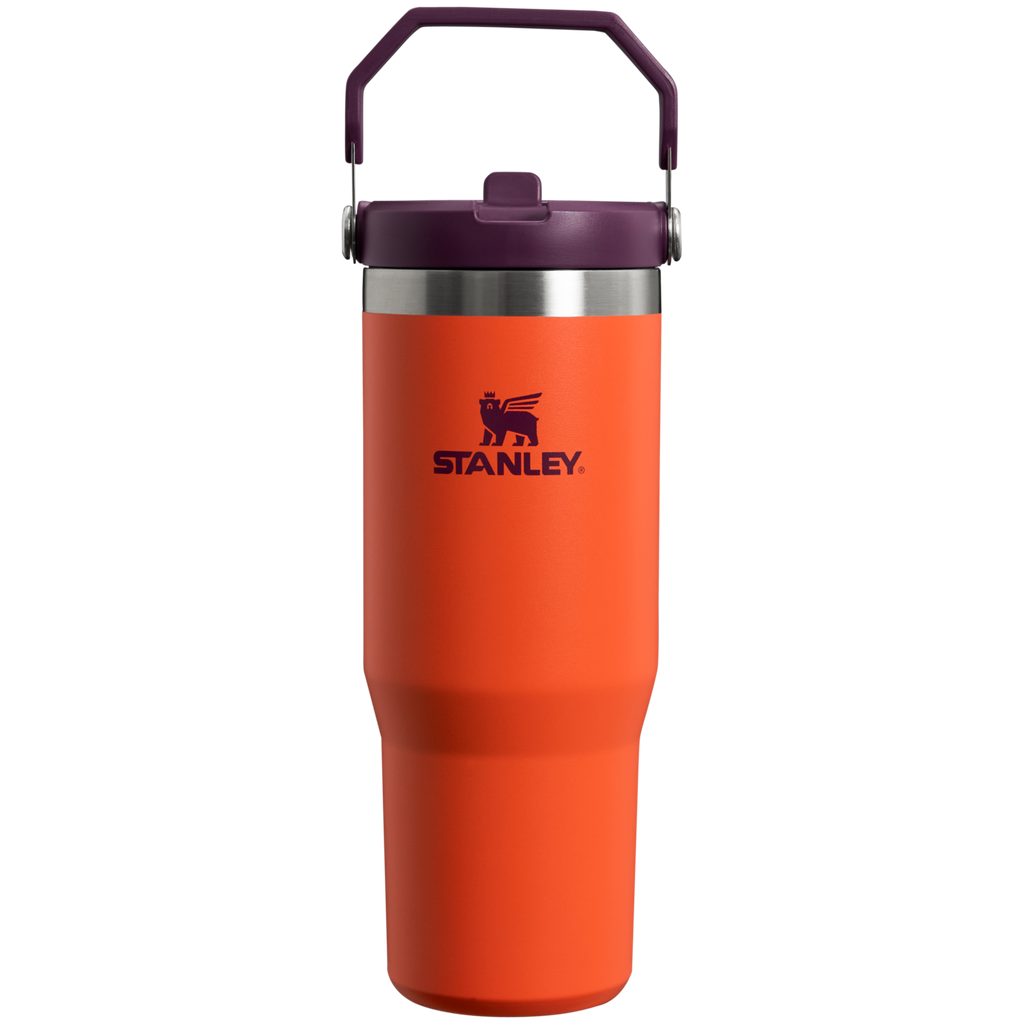 Stanley IceFlow Flip Straw 2.0 Tumbler 30 oz – Insulated Cold Water Bottle with Flip Straw Lid
