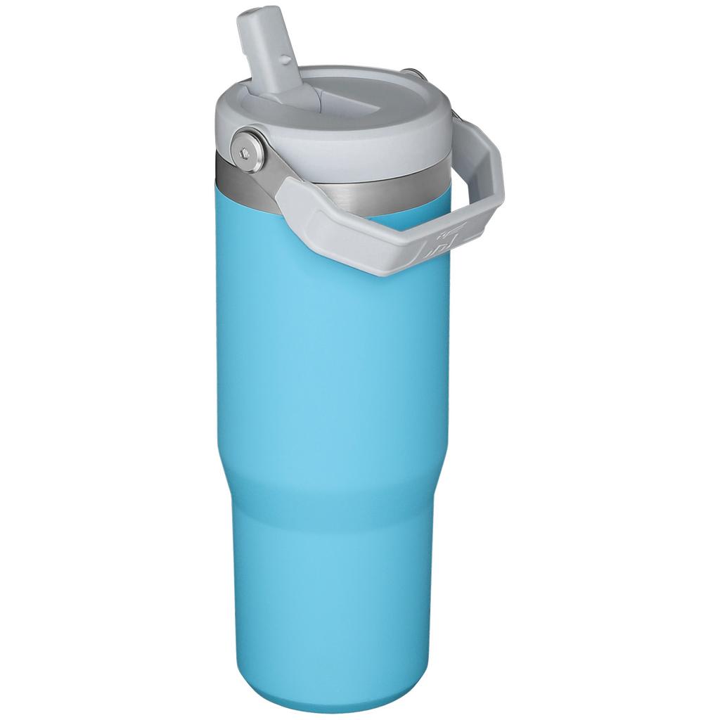 Stanley IceFlow Flip Straw 2.0 Tumbler 30 oz – Insulated Cold Water Bottle with Flip Straw Lid