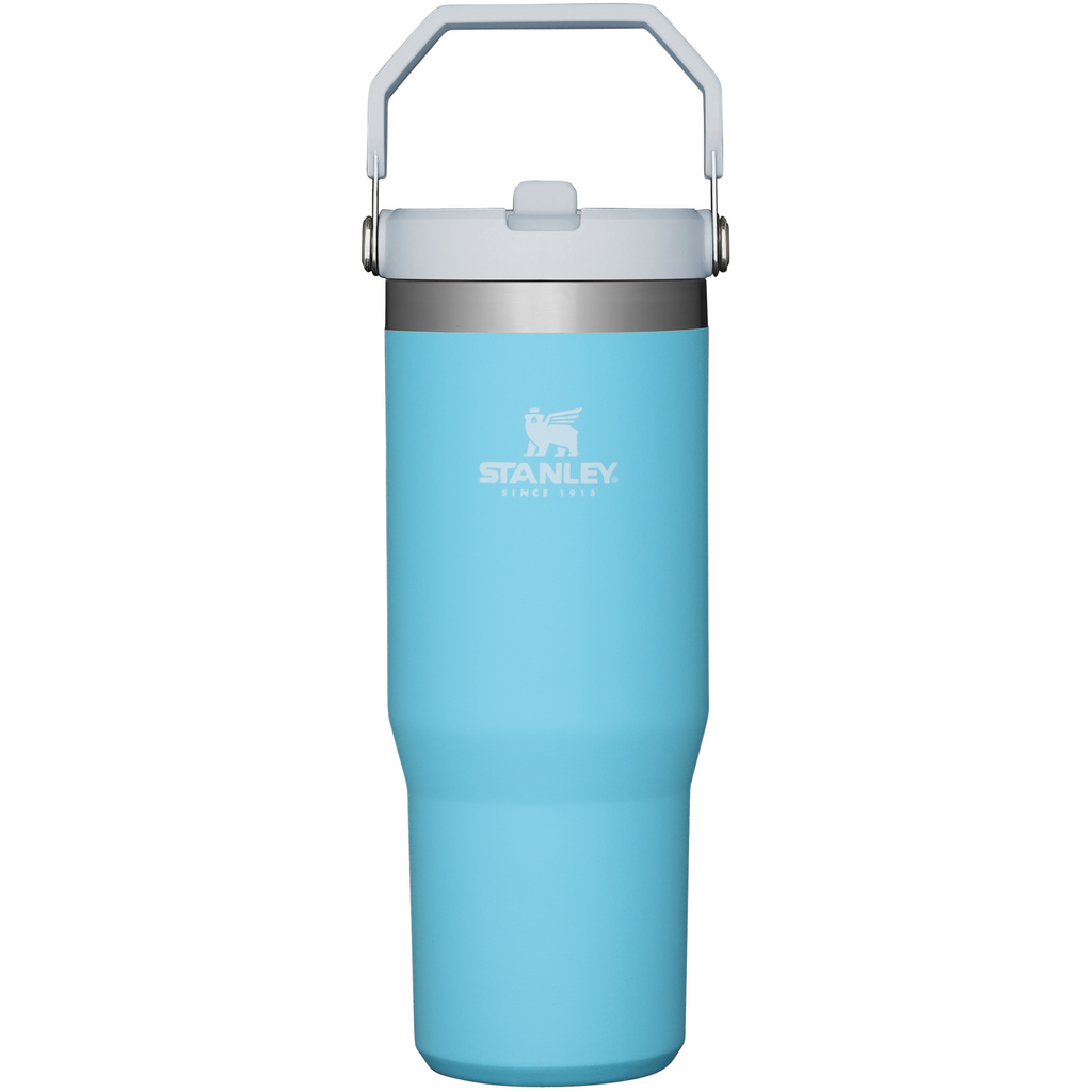 Stanley IceFlow Flip Straw 2.0 Tumbler 30 oz – Insulated Cold Water Bottle with Flip Straw Lid