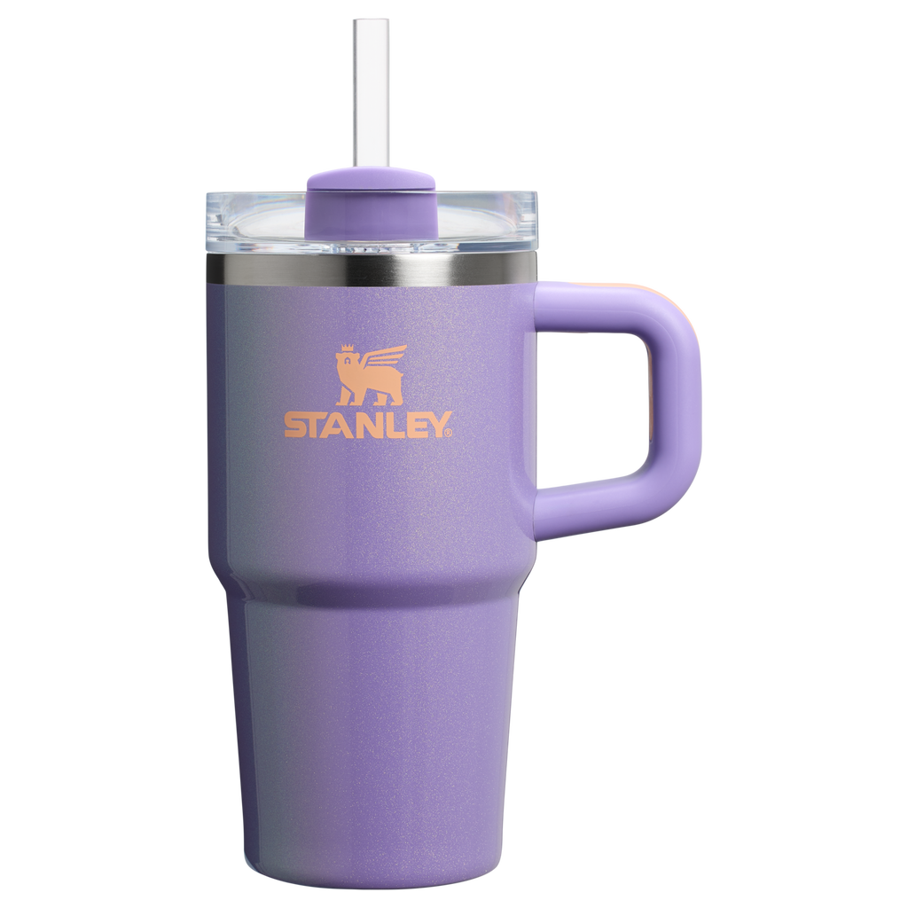 Stanley Quencher H2.0 FlowState Tumbler with Handle 20 oz – Insulated Travel Cup with Straw for Women