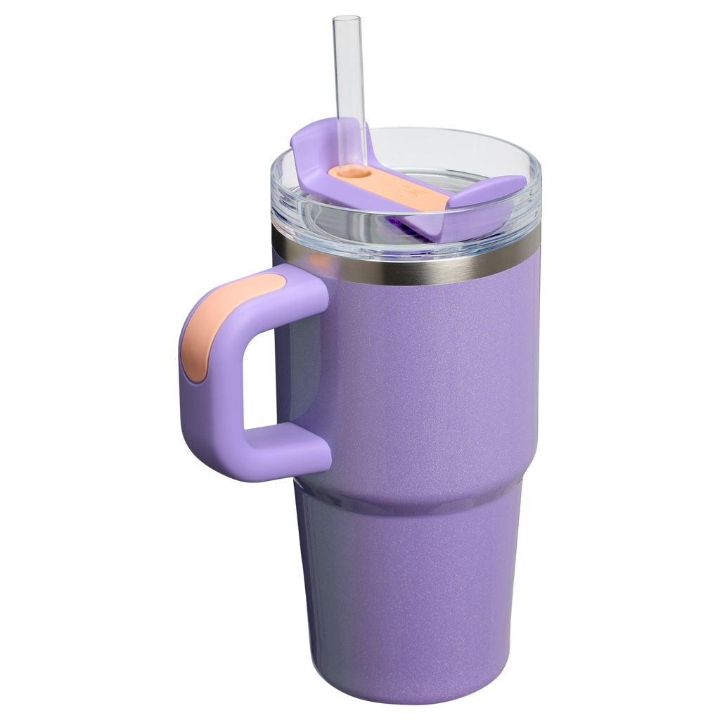 Stanley Quencher H2.0 FlowState Tumbler with Handle 20 oz – Insulated Travel Cup with Straw for Women