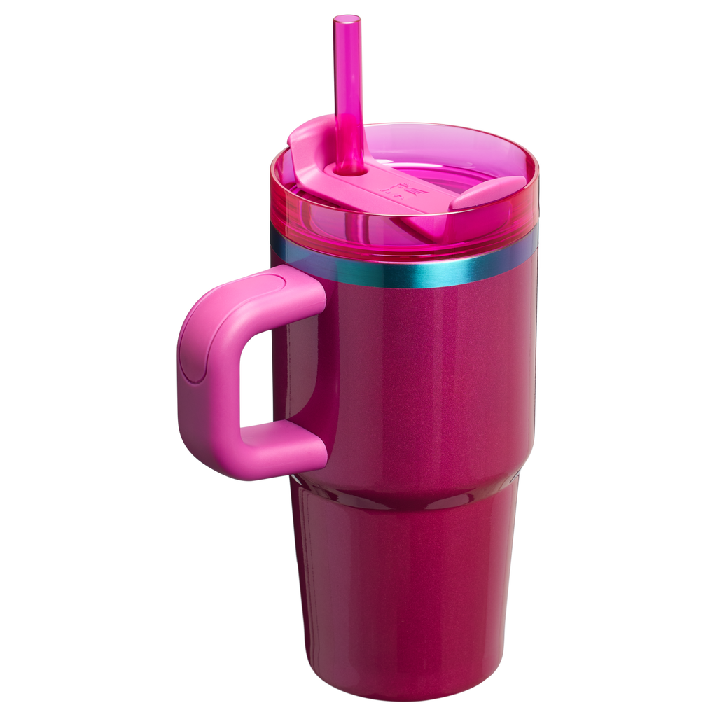 Stanley Quencher H2.0 FlowState Tumbler with Handle 20 oz – Insulated Travel Cup with Straw for Women