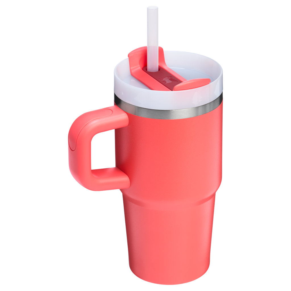 Stanley Quencher H2.0 FlowState Tumbler with Handle 20 oz – Insulated Travel Cup with Straw for Women