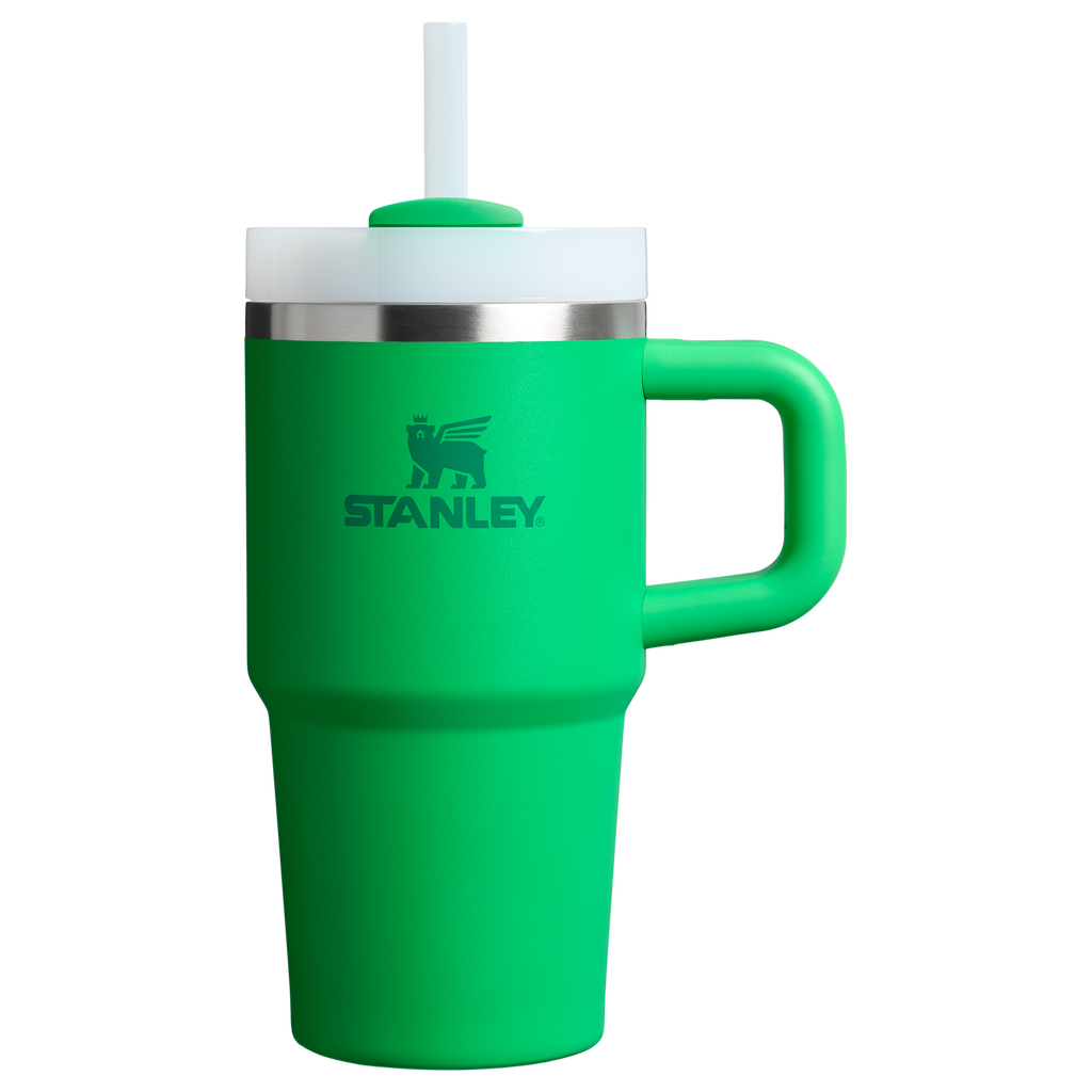 Stanley Quencher H2.0 FlowState Tumbler with Handle 20 oz – Insulated Travel Cup with Straw for Women