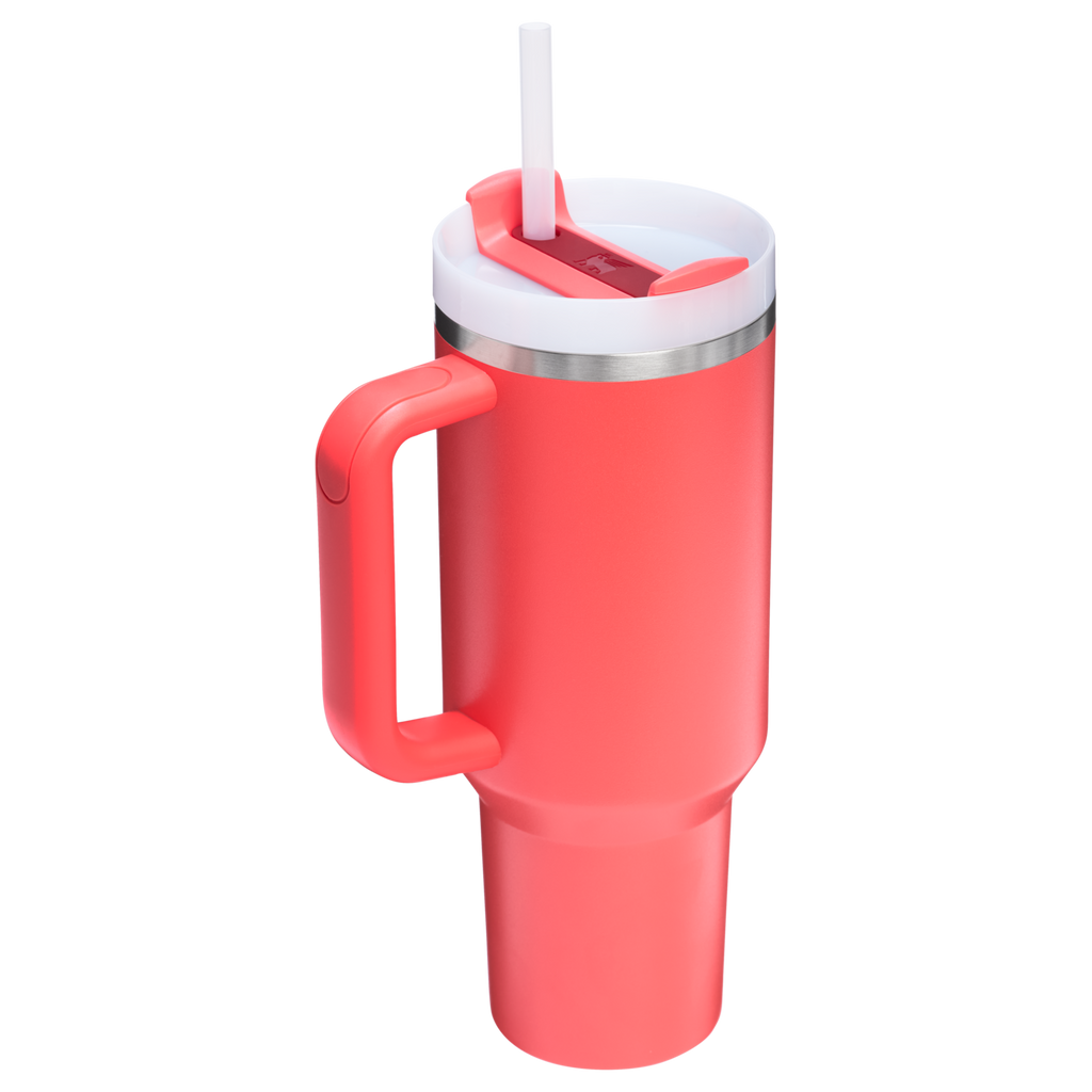 Stanley Quencher H2.0 FlowState Tumbler 40 oz – Large Insulated Tumbler with Straw and Handle for Women