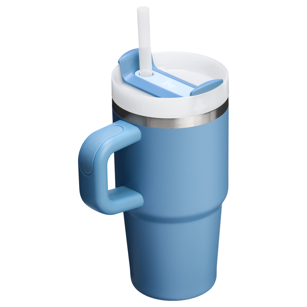 Stanley Quencher H2.0 FlowState Tumbler with Handle 20 oz – Insulated Travel Cup with Straw for Women