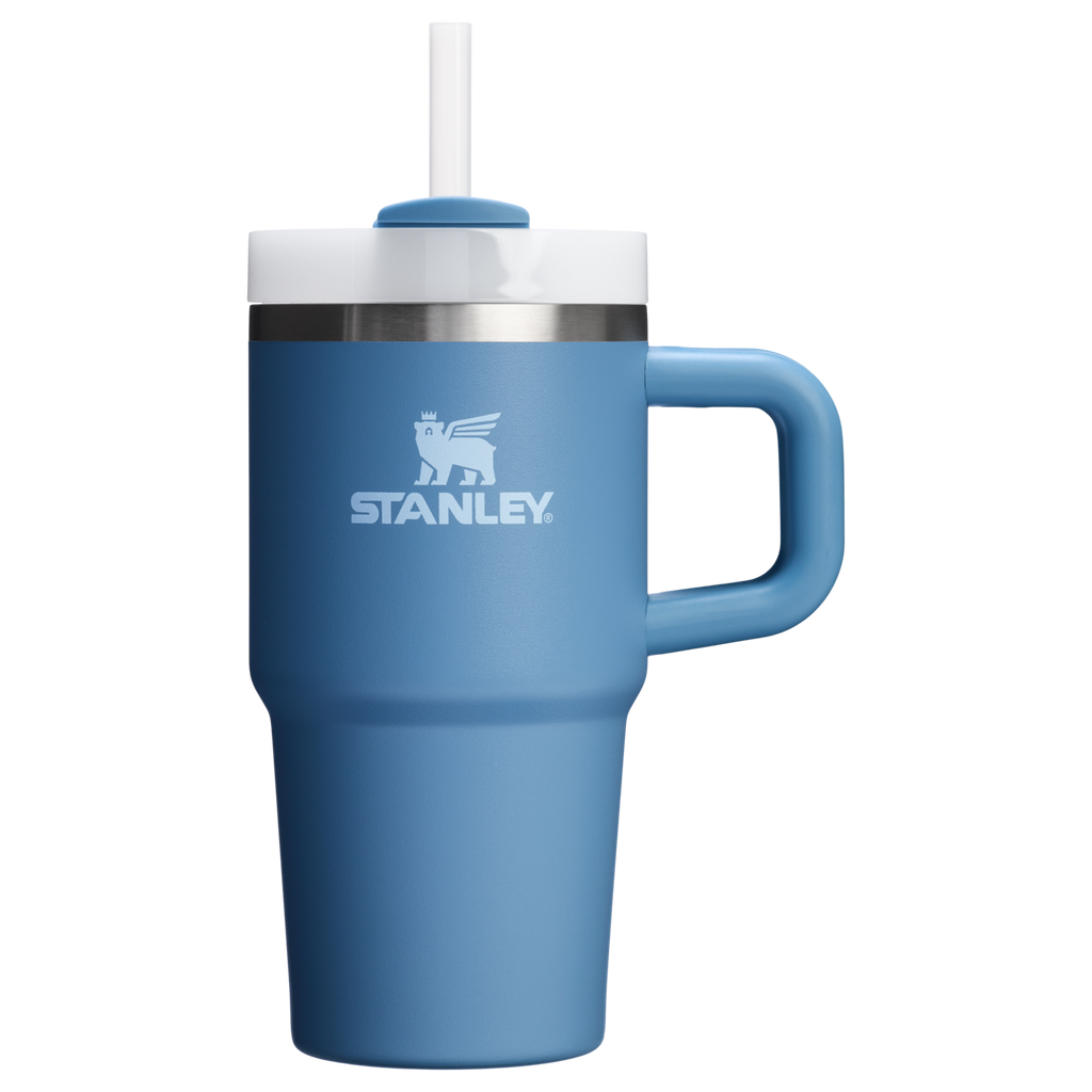 Stanley Quencher H2.0 FlowState Tumbler with Handle 20 oz – Insulated Travel Cup with Straw for Women