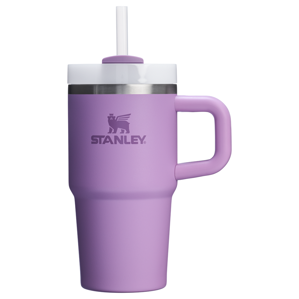 Stanley Quencher H2.0 FlowState Tumbler with Handle 20 oz – Insulated Travel Cup with Straw for Women