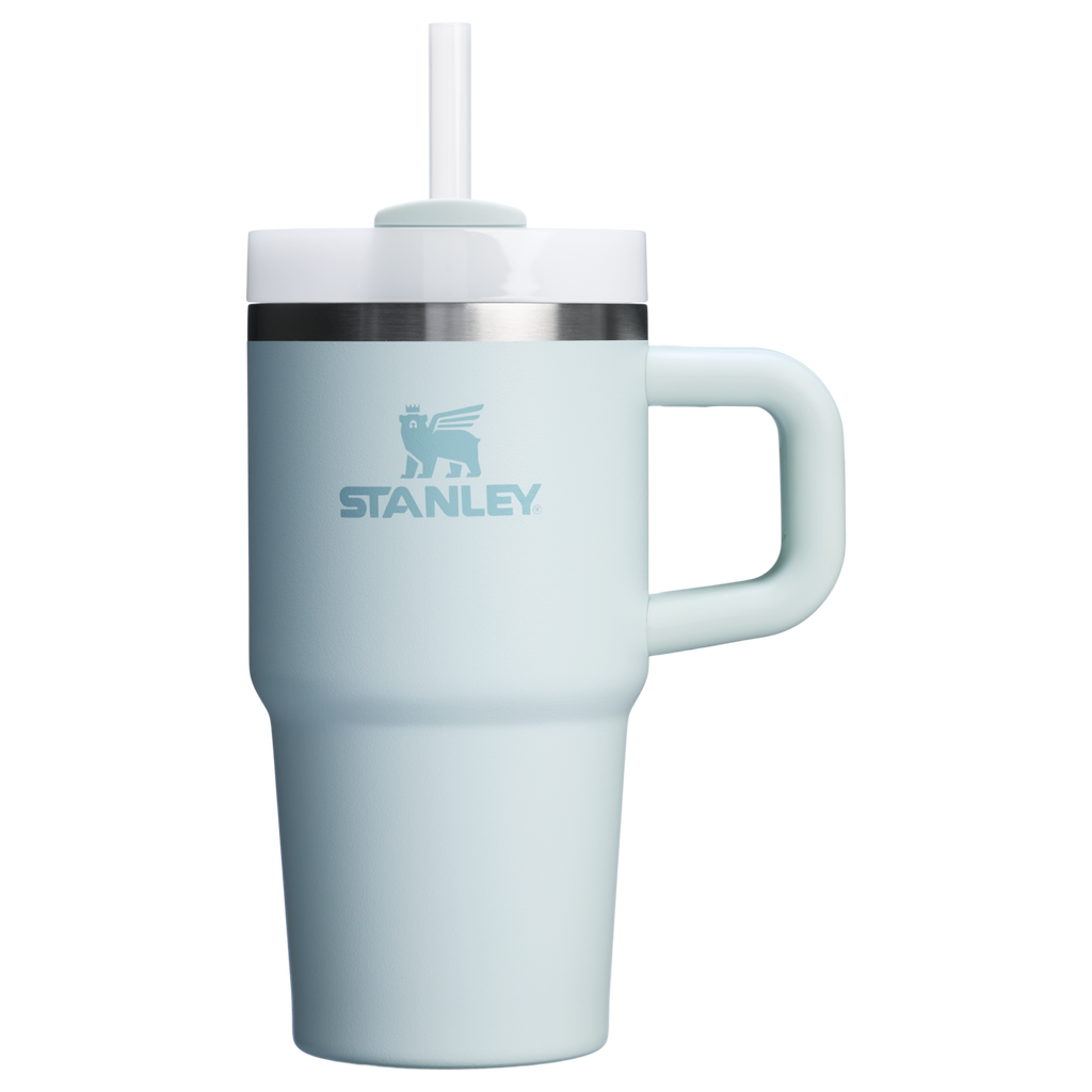 Stanley Quencher H2.0 FlowState Tumbler with Handle 20 oz – Insulated Travel Cup with Straw for Women