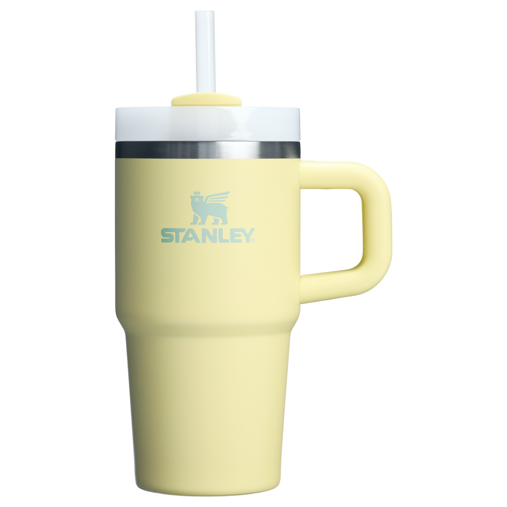 Stanley Quencher H2.0 FlowState Tumbler with Handle 20 oz – Insulated Travel Cup with Straw for Women