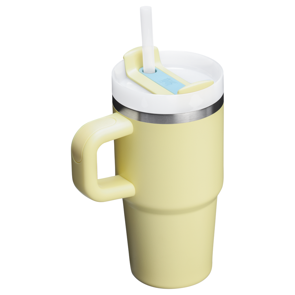 Stanley Quencher H2.0 FlowState Tumbler with Handle 20 oz – Insulated Travel Cup with Straw for Women