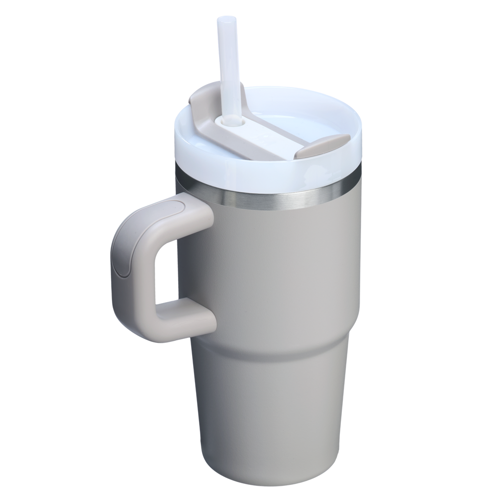 Stanley Quencher H2.0 FlowState Tumbler with Handle 20 oz – Insulated Travel Cup with Straw for Women