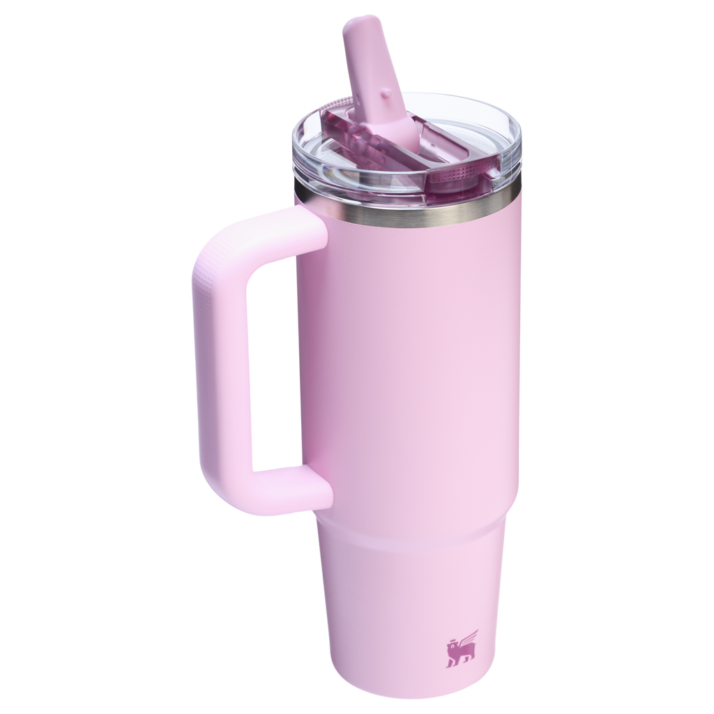 Stanley Quencher ProTour Flip Straw Tumbler 30 oz – Insulated Tumbler Multiple Colors with Leak-Proof Flip Lid