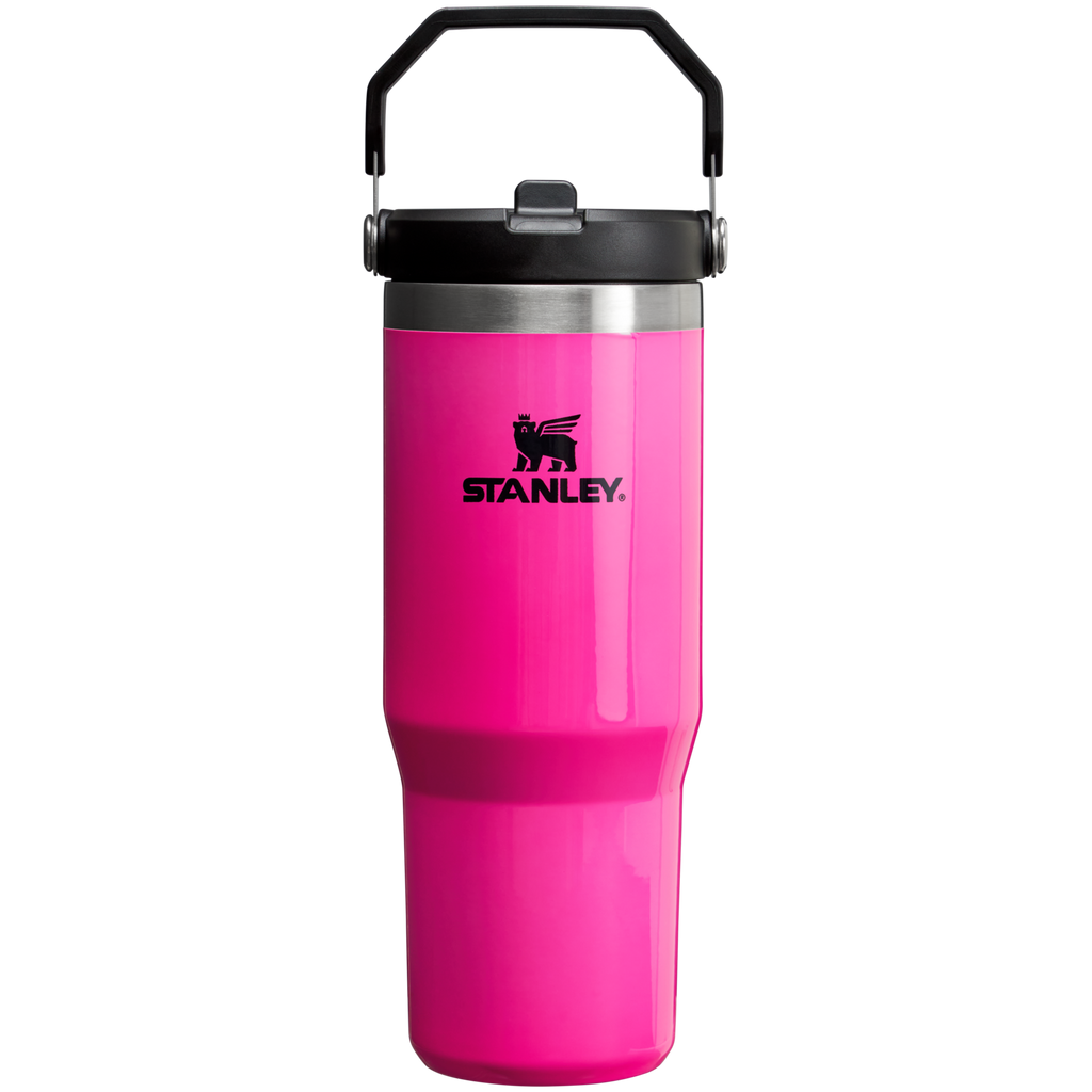 Stanley IceFlow Flip Straw 2.0 Tumbler 30 oz – Insulated Cold Water Bottle with Flip Straw Lid
