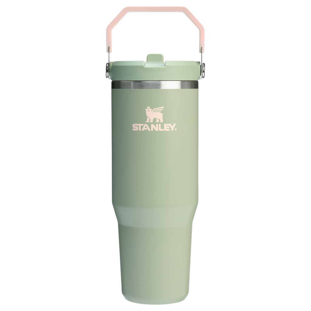 Stanley IceFlow Flip Straw 2.0 Tumbler 30 oz – Insulated Cold Water Bottle with Flip Straw Lid