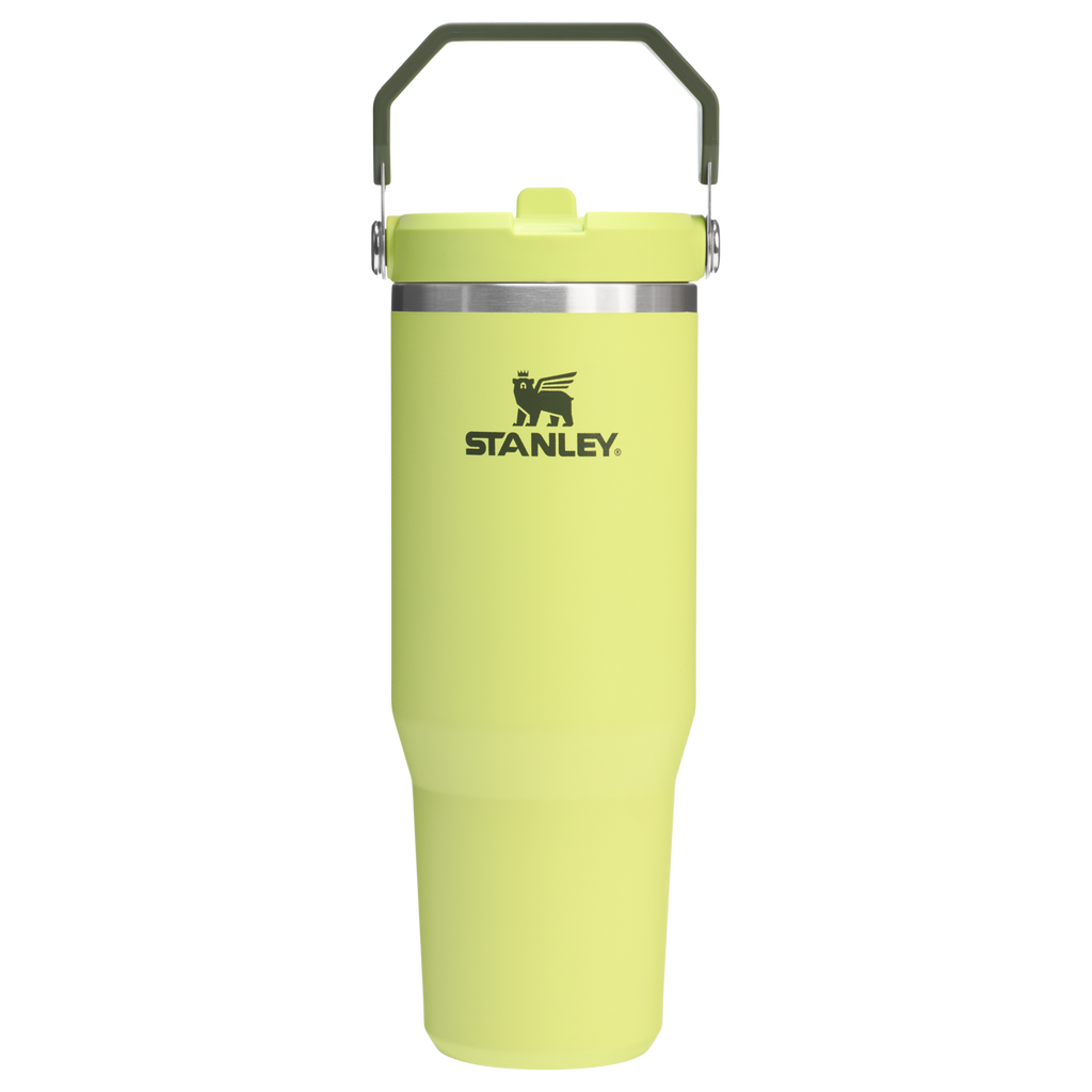 Stanley IceFlow Flip Straw 2.0 Tumbler 30 oz – Insulated Cold Water Bottle with Flip Straw Lid