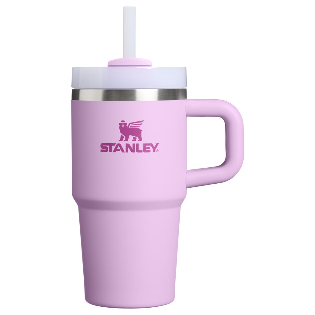 Stanley Quencher H2.0 FlowState Tumbler with Handle 20 oz – Insulated Travel Cup with Straw for Women