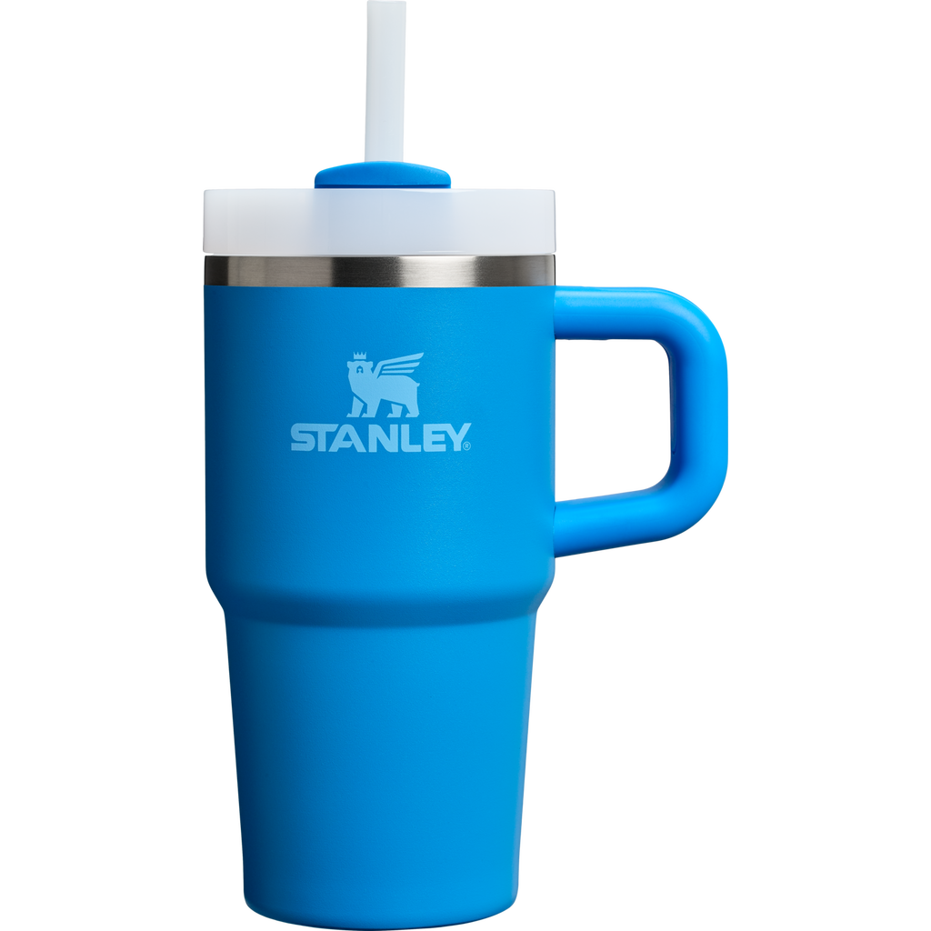 Stanley Quencher H2.0 FlowState Tumbler with Handle 20 oz – Insulated Travel Cup with Straw for Women