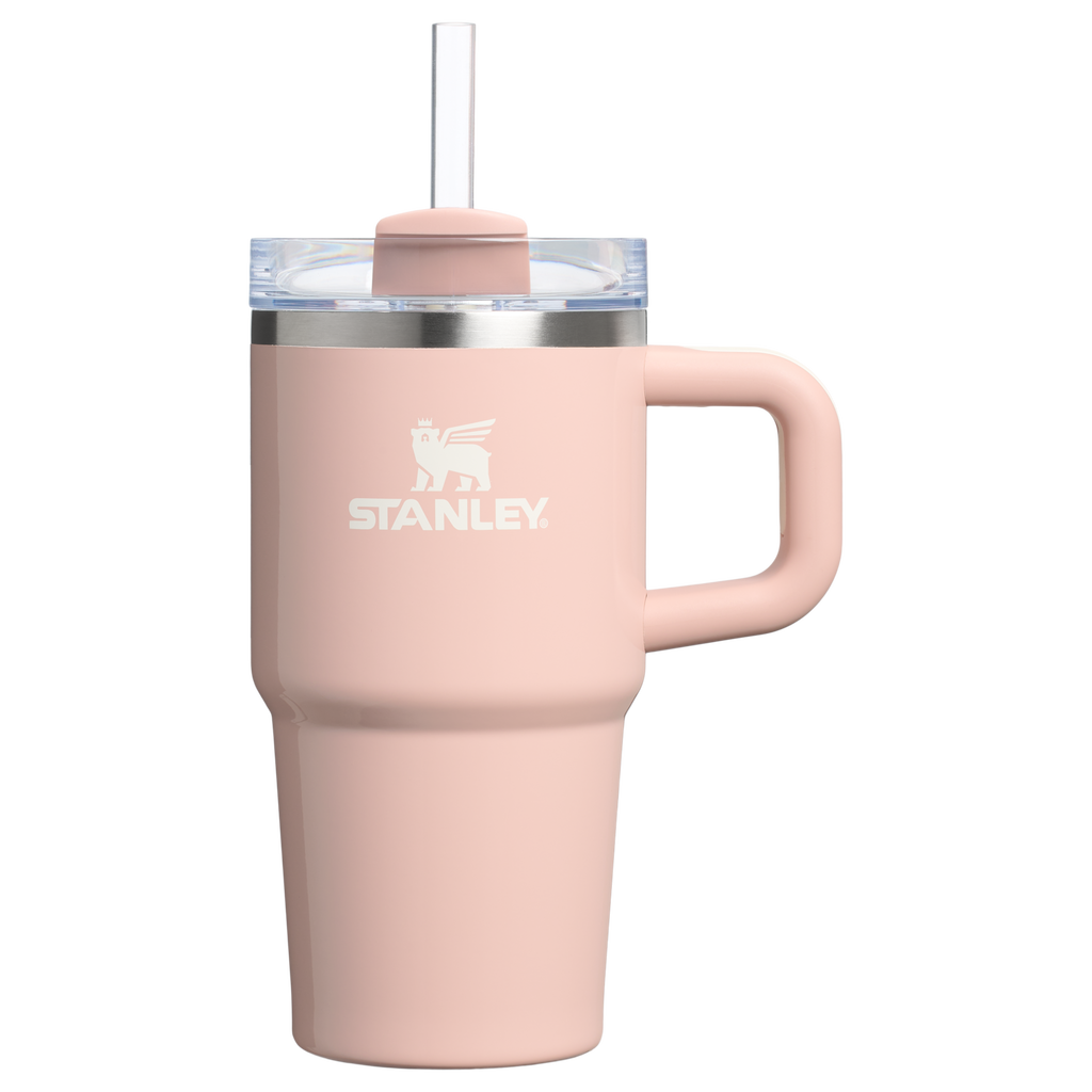 Stanley Quencher H2.0 FlowState Tumbler with Handle 20 oz – Insulated Travel Cup with Straw for Women
