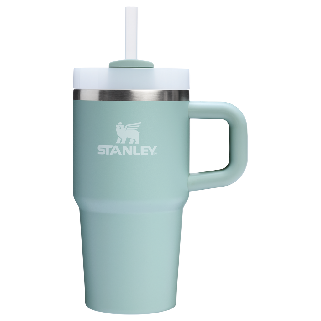Stanley Quencher H2.0 FlowState Tumbler with Handle 20 oz – Insulated Travel Cup with Straw for Women